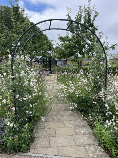 Quarry Wood Farm & Tilsmore Vineyard